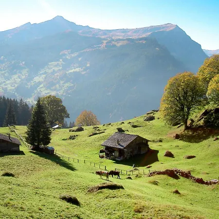 Abendrot Apartments-12 By Interhome Гриндельвальд